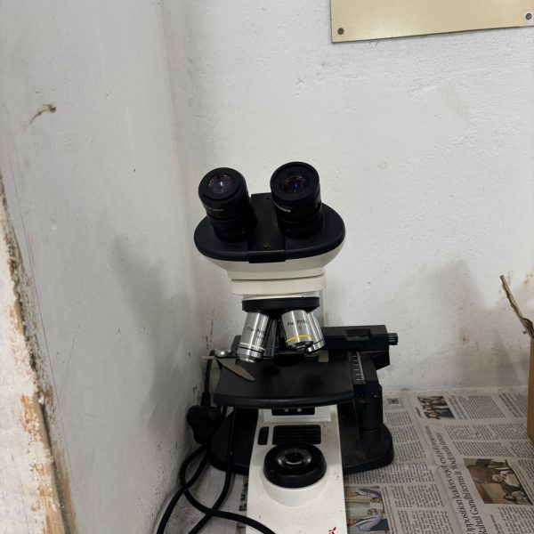 WhatsApp Image 2024-10-19 at 12.01.48 AM